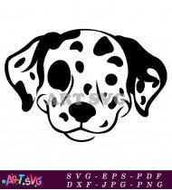 Dalmatian Dog Cartoon Drawing Looking At Camera SVG 1