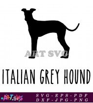 Italian Grey Hound Dog Breed Silhouette SVG