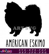 American Eskimo Dog Silhouette Vector SVG