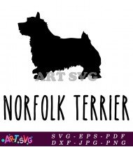 Norfolk Terrier Dog Breed Silhouette SVG