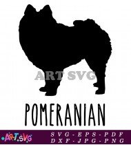 Pomeranian Dog Breed Silhouette SVG