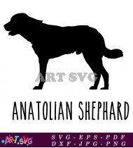 Anatolian Shepherd Dog Breed Silhouette SVG