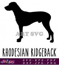 Rhodesian Ridgeback Silhouette Dog Breed Design SVG