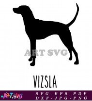 Vizsla Dog Silhouette Breed Dog Graphics SVG 1