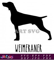 Weimaraner Dog Silhouette Breed Dog Design SVG 1