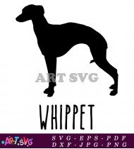 Whippet Dog Silhouette Breed Dog Design SVG 1