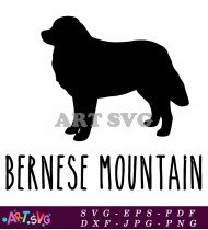 Bernese Mountain Dog Breed Silhouette Vector Graphic SVG