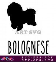 Bolognese Dog Breed Silhouette Clip Art SVG