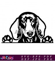 Border Collie Dog Breed Silhouette Clip Art SVG 1