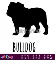 Bulldog Dog Breed Silhouette Vector Graphic Design SVG