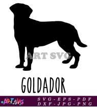 Goldador Dog Breed Silhouette Design SVG