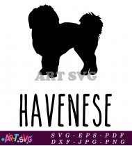 Havanese Dog Breed Silhouette Vector Illustration SVG