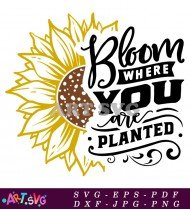 Sunflower Quote Vector Bloom Where Planted SVG