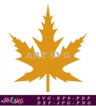 Fall Autumn Maple Leaf Design Element SVG