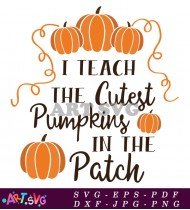 I Teach The Cutest Pumpkins Patch SVG