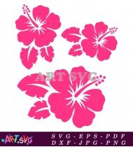 Hibiscus Flower Design In Pink For Decoration SVG