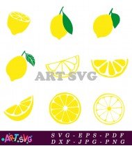 Lemon Slice Illustration In Different Styles SVG