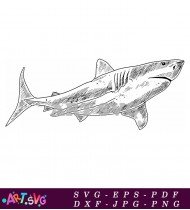 Hand Drawn Sketch of a Great White Shark SVG