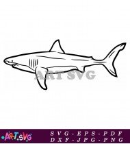 Shark Drawing Printable For Children Free SVG