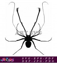 Black Spider Silhouette Clipart Stock SVG 1