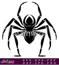 Black And White Spider Graphic Design SVG