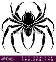 Spider Design With Long And Skinny Legs SVG