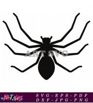 Vector Illustration of Spider Isolated on White Background SVG