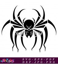 Vector Illustration of Spider Isolated On White SVG