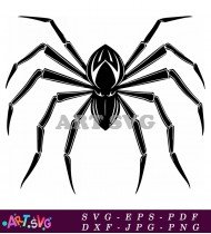 Scary Black and White Spider Clipart SVG