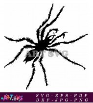 Black and White Spider Silhouette Clip Art SVG