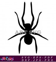 Spider Clip Art Black And White Illustration SVG