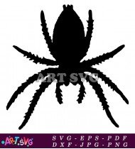 Black And White Spider Illustration SVG