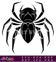 Black and White Spider Silhouette Clipart SVG 1