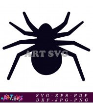 Detailed black and white spider illustration SVG