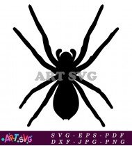 Scary Spooky Spider Silhouette for Halloween SVG