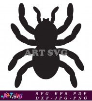 Black Spider Silhouette Clipart Free Download SVG