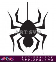 Black Silhouettes Of Spiders Webs On White SVG 13