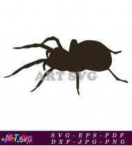 Halloween Spider Design Element Vector Illustration SVG