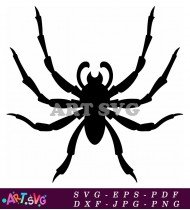 Vector Illustration Of Black Spider Graphic SVG