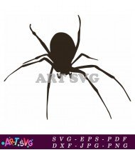 Black and white spider vector design SVG