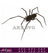 Black and white spider silhouette vector SVG 2