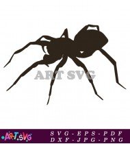 Black and white spider design SVG