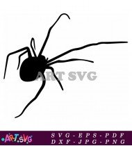 Spider silhouette black and white design SVG