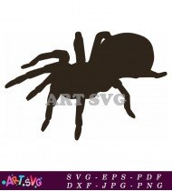 Tarantula Spider Vector Illustration SVG