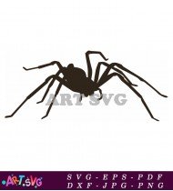 Black Spider Silhouette Illustration On White SVG