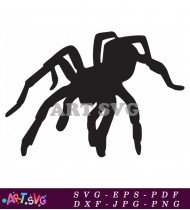 Black And White Spider Silhouette Graphic SVG