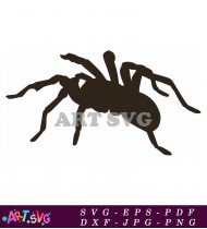 Black And White Cartoon Spider Clipart SVG