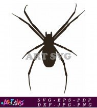 Black Cartoon Spider Illustration With Eight Legs SVG