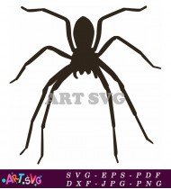 Simple Black Silhouette Spider Illustration SVG