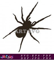 Cartoon Black Silhouette Spider Clip Art SVG